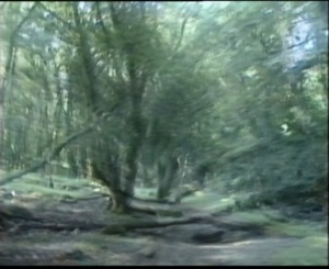 The scenery takes on a different form