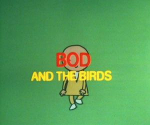 Bod and the birds
