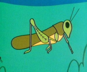 Bod is watching a grasshopper