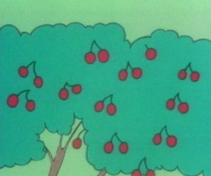 The tree is full of cherries