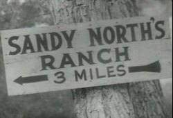 A sign is nailed to a tree stating 3 miles to the Sandy North ranch