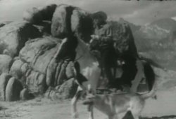 Uncle Sandy and rebel go after the cattle rustlers