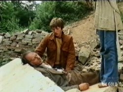 Mr. Furbelow has fallen