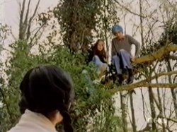 Nicky and Gopal are climbing trees