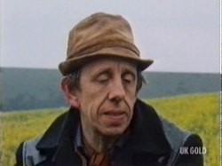 Man who drives cart and horse