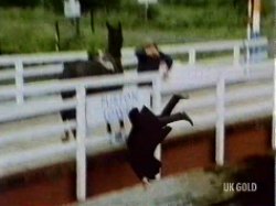 He falls from the bridge and into the water from where he does not return