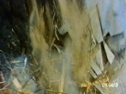 Suddenly it explodes