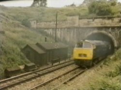 The Changes by Peter Dickinson