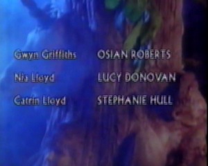 The Chestnut Soldier