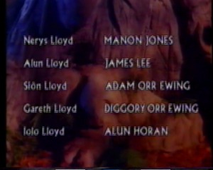 The Chestnut Soldier