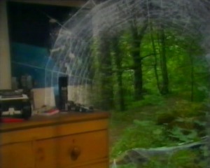 Gwyn and Arianwen get to work