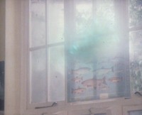 The light enters the classroom