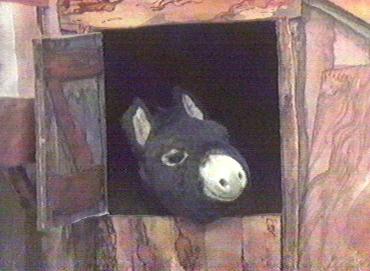 Fury the Donkey