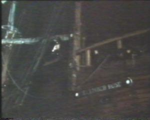 The ship The December Rose arrives