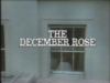 The December Rose - story page