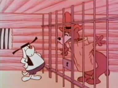 The bear in jail