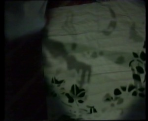 More shadows appear giving Nia ideas