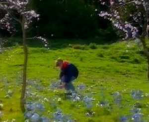 Nia picks a flower - cold as ice but bright as the stars