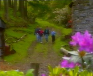 The chilfdren walk back for tea