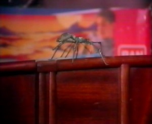 Arianwen goes back to the box