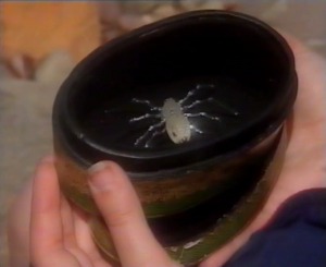 Nia shows Arianwen to Emlyn