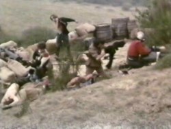 They capture many vital supplies