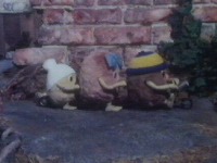 The Flumps on the Flumpcycle