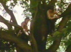 Later - she find Jonathon stuck up a tree