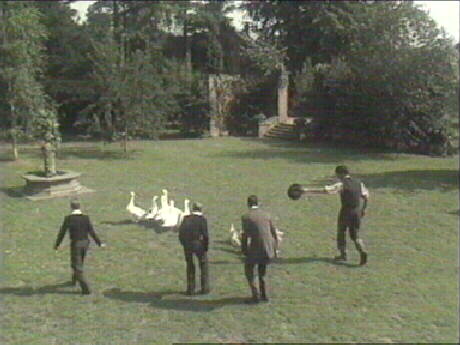 Able and the boys move the geese back