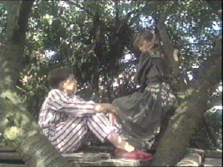 Tom and Hatty build a tree house