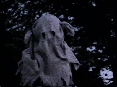 Boys dressed in hoods