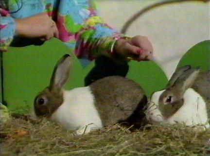 Becky replaces Buffy