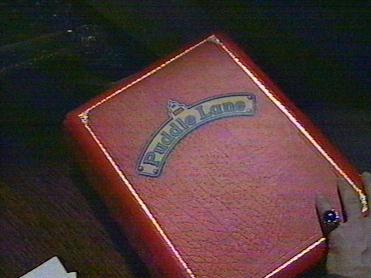 The Puddle Land Story Book