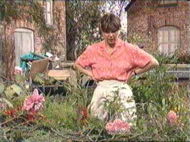 The flowers will not stay up straight