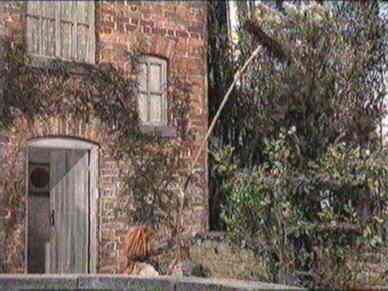 An apple getter downer