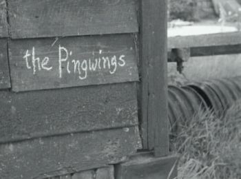 The Pingwings - Written and Directed by Oliver