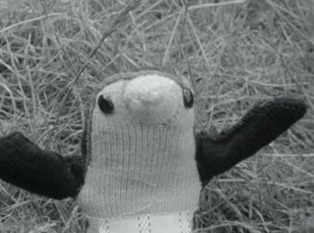 Penny is searching for her father as she has something important to tell him