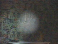 Arianwen spins a web