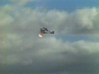 The horse is taken by the wind