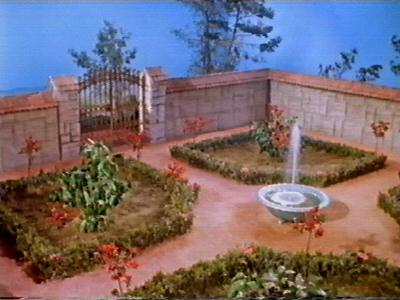 She decides to plant it