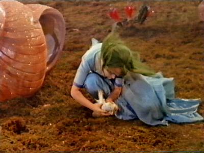 A small white dove gets caught in the wind