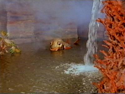 The fish swims along