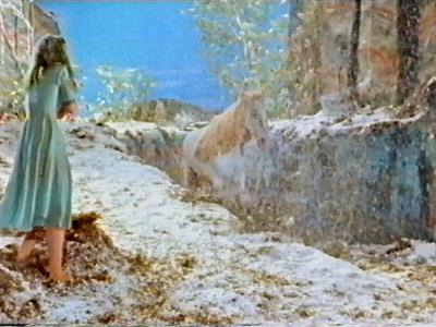 The snow is getting heavy