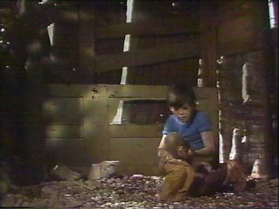 Barney inside the boys' hut