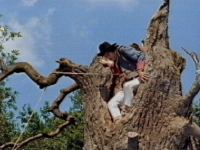 The soldier climbs up into the tree