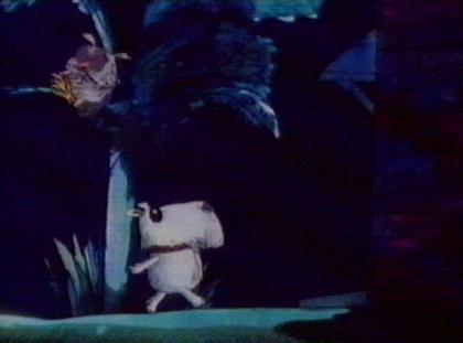 Towser going to see Sadie (note sleeping owl in tree)