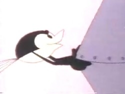 Wattoo Wattoo playing - looks a bit like Jack from the shining.