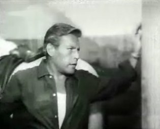 White Horses Uncle Dimitri